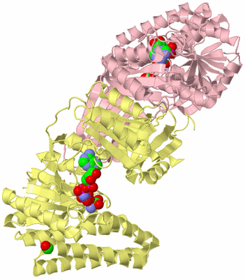 Image Biological Unit 3