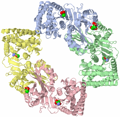 Image Biological Unit 1