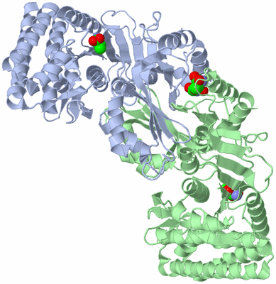 Image Biological Unit 2