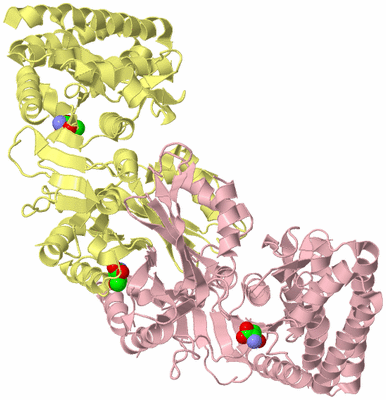 Image Biological Unit 3