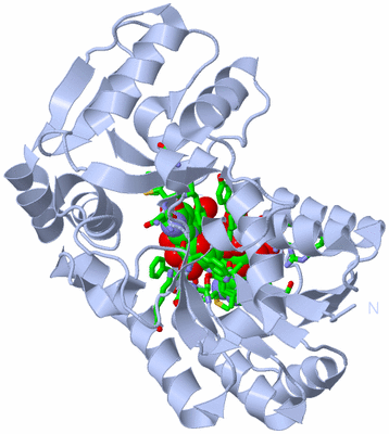 Image Biol. Unit 1 - sites