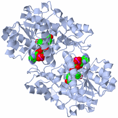 Image Biological Unit 2