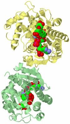 Image Biological Unit 2