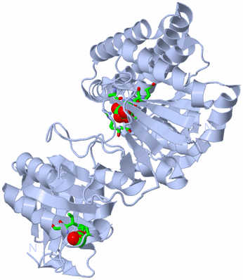 Image Biol. Unit 1 - sites