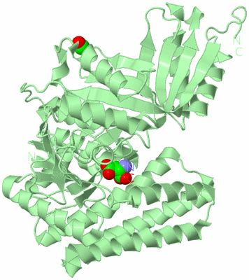 Image Biological Unit 2