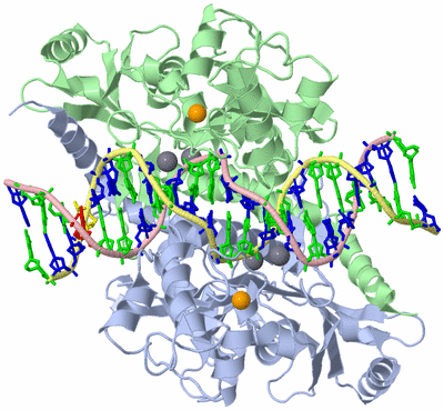 Image Asym./Biol. Unit