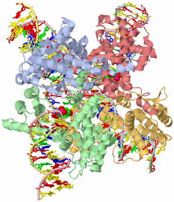 Image Asym./Biol. Unit