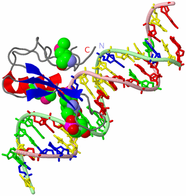 Image Asym./Biol. Unit