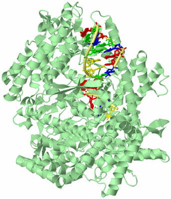 Image Biological Unit 2