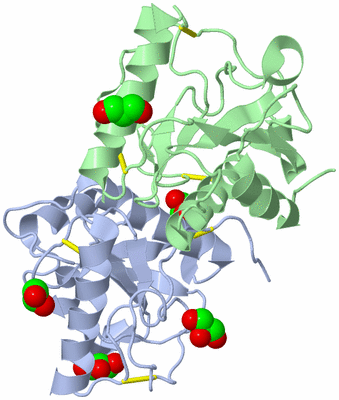 Image Biological Unit 1