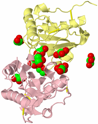 Image Biological Unit 2