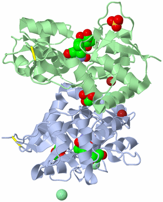 Image Asym./Biol. Unit