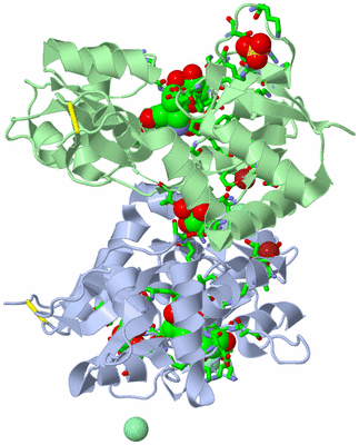 Image Asym./Biol. Unit - sites