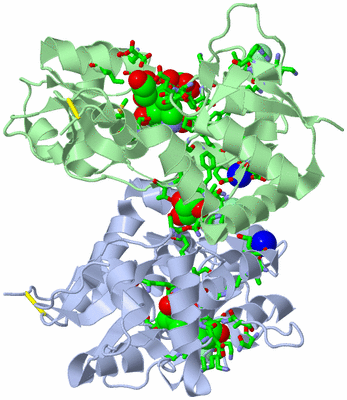 Image Asym./Biol. Unit - sites