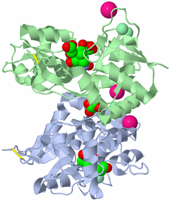 Image Asym./Biol. Unit