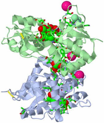 Image Asym./Biol. Unit - sites