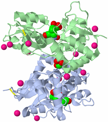 Image Asym./Biol. Unit