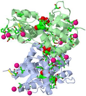 Image Asym./Biol. Unit - sites