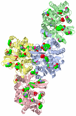 Image Asymmetric Unit