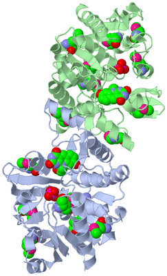Image Biological Unit 1