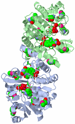 Image Biol. Unit 1 - sites
