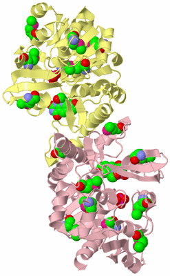 Image Biological Unit 2