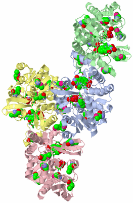 Image Asym. Unit - sites