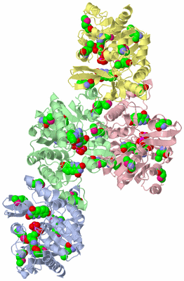 Image Asymmetric Unit