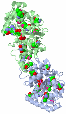 Image Biological Unit 1