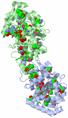 Image Biol. Unit 1 - sites