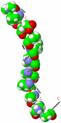 Image Asymmetric Unit