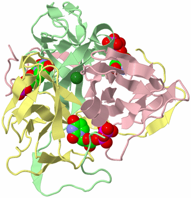 Image Biological Unit 2