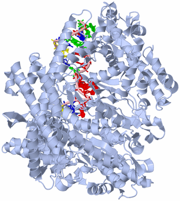 Image Biological Unit 1