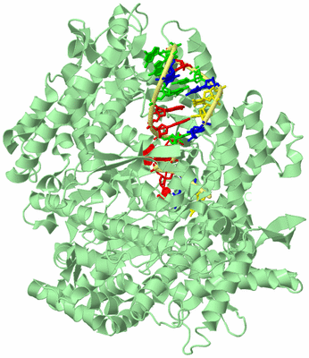 Image Biological Unit 2