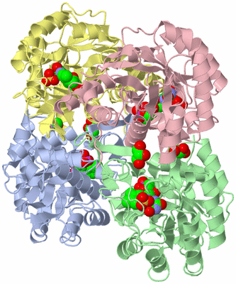 Image Asym./Biol. Unit