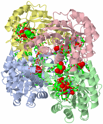 Image Asym./Biol. Unit - sites