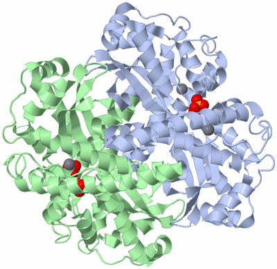 Image Biological Unit 1