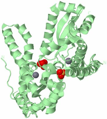 Image Biological Unit 3