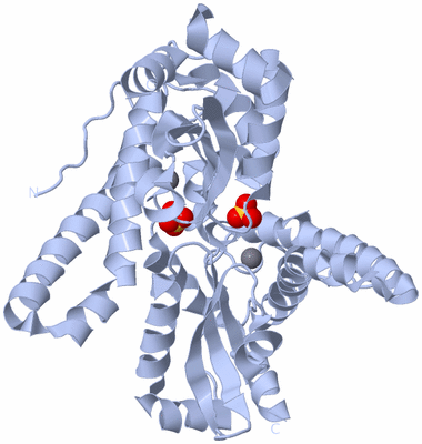 Image Biological Unit 4