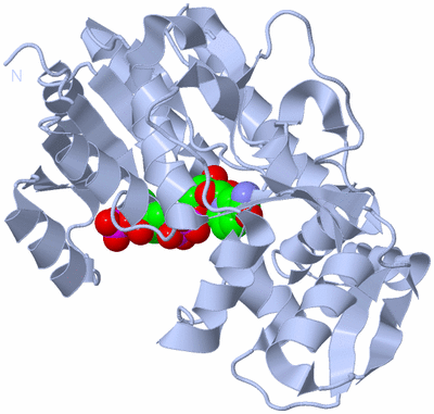 Image Biological Unit 1