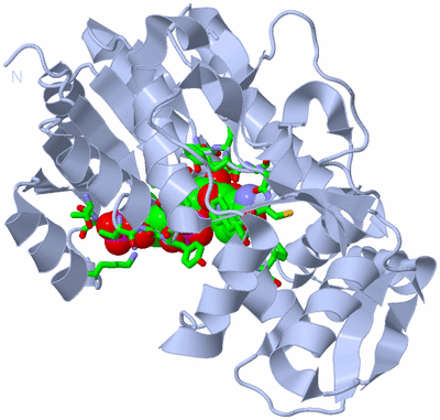 Image Biol. Unit 1 - sites