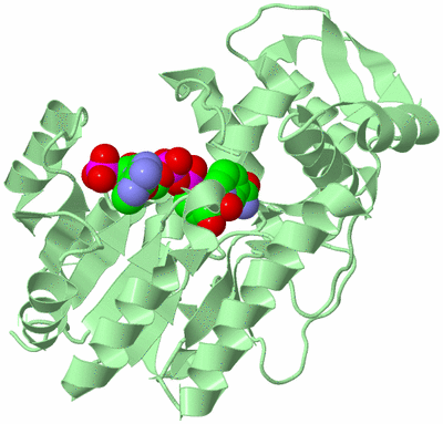 Image Biological Unit 2