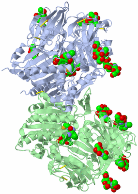 Image Asym./Biol. Unit