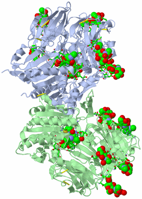 Image Asym./Biol. Unit - sites