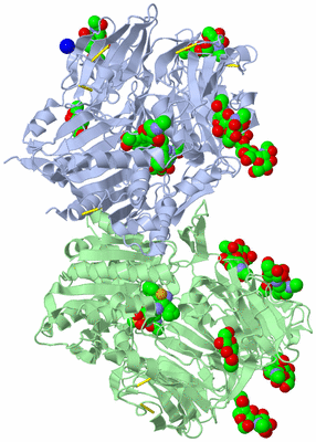 Image Asym./Biol. Unit