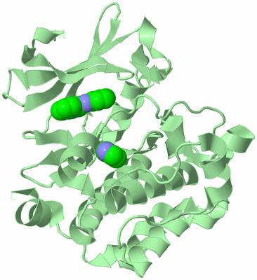 Image Biological Unit 2