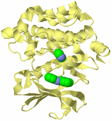 Image Biological Unit 4