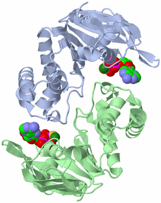 Image Asym./Biol. Unit