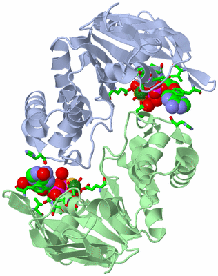 Image Asym./Biol. Unit - sites