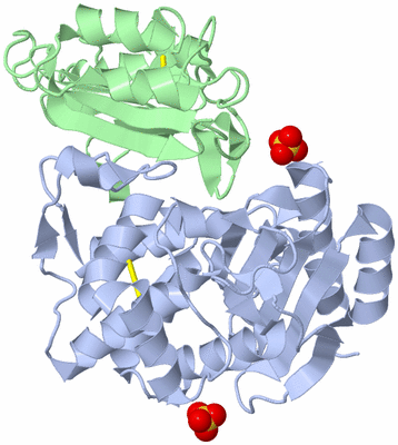 Image Asym./Biol. Unit